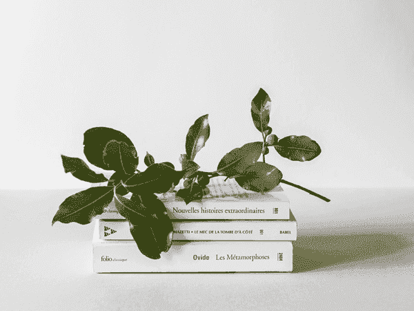 手机号轰炸机网页版